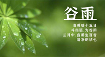 【二十四節(jié)氣灸】谷雨時節(jié)，用艾為您的健康加上一道保險！