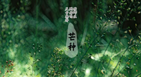 【二十四節(jié)氣灸】芒種節(jié)氣，培土補(bǔ)脾、養(yǎng)陰生津！艾灸這些穴位事半功倍！