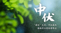 【三伏養(yǎng)生】至熱中伏，吃三樣，喝三樣，三大禁忌千萬別犯，小心落下病根！