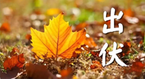 【三伏養(yǎng)生】出伏后做好養(yǎng)生很關(guān)鍵！一行要注意！