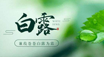 【二十四節(jié)氣灸】白露涼爽，養(yǎng)心肝脾胃、滋陰潤肺是關(guān)鍵！