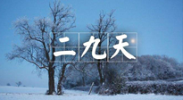 【三九養(yǎng)生】冬二九，扶陽補(bǔ)腎氣，讓你陽氣充足一整年！