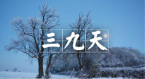 【三九養(yǎng)生】冬三九，三九第三灸，一年中最后艾灸黃金9天！