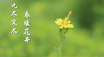 【九九養(yǎng)生】三月四日“九九日”，寒冬已過。春天養(yǎng)好身，全年不怕??！