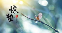 【二十四節(jié)氣灸】驚蟄節(jié)氣，艾灸喚醒抵抗力、補充陽氣的最好時機！