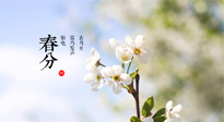 【二十四節(jié)氣灸】春分，平分了大地晝夜；艾灸，平衡了身體陰陽！