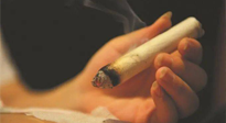 【艾灸知識】春暖花開，衣衫漸薄，再不減肥，身上的肉肉可藏不住了！