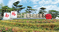 【行業(yè)資訊】南陽(yáng)一個(gè)值得三顧的地方！“丹江水”“仙草艾”成為 “南陽(yáng)禮物”新爆款！