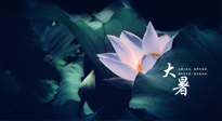 【二十四節(jié)氣灸】趁大暑好好艾灸，才不辜負(fù)三伏天的驕陽！