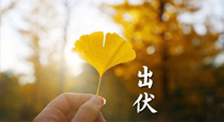 【艾灸三伏天】出伏啦！三防三宜兩穴位，防止身體“秋后算賬”！