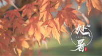 【二十四節(jié)氣灸】處暑，冬病夏治倒計時！秋涼真的要來了！