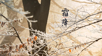 【二十四節(jié)氣灸】霜降節(jié)氣：艾灸四穴，護(hù)您冬天安然無恙！