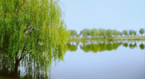 【艾灸知識】春三月，必艾灸穴位：疏肝理氣，養(yǎng)血調(diào)神！