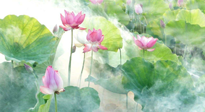 【養(yǎng)生知識(shí)】花開半夏，夏至養(yǎng)生，這些知識(shí)一定要牢記！
