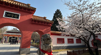 【行業(yè)資訊】新華財經：守正創(chuàng)新，中醫(yī)藥品牌化發(fā)展“更上一層樓”！