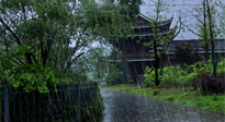 【艾灸知識】多雨的日子里，艾灸會不會加重濕氣呢？
