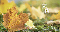 【節(jié)氣養(yǎng)生】甲辰立秋，“2做”、“2不做”，護(hù)好我們身體的正氣，預(yù)防外邪的侵襲！