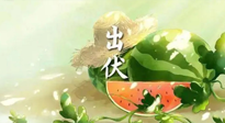 【艾灸三伏天】出伏后記得堅(jiān)持艾灸，伏后固本，做好至關(guān)重要的最后一步！