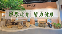 【艾草知識】小小艾草，渾身是寶，一生燃盡此身，皆為健康！