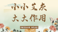 【艾草知識】艾灰真是個巨好用的東西，?它的神奇功效，你知道多少？